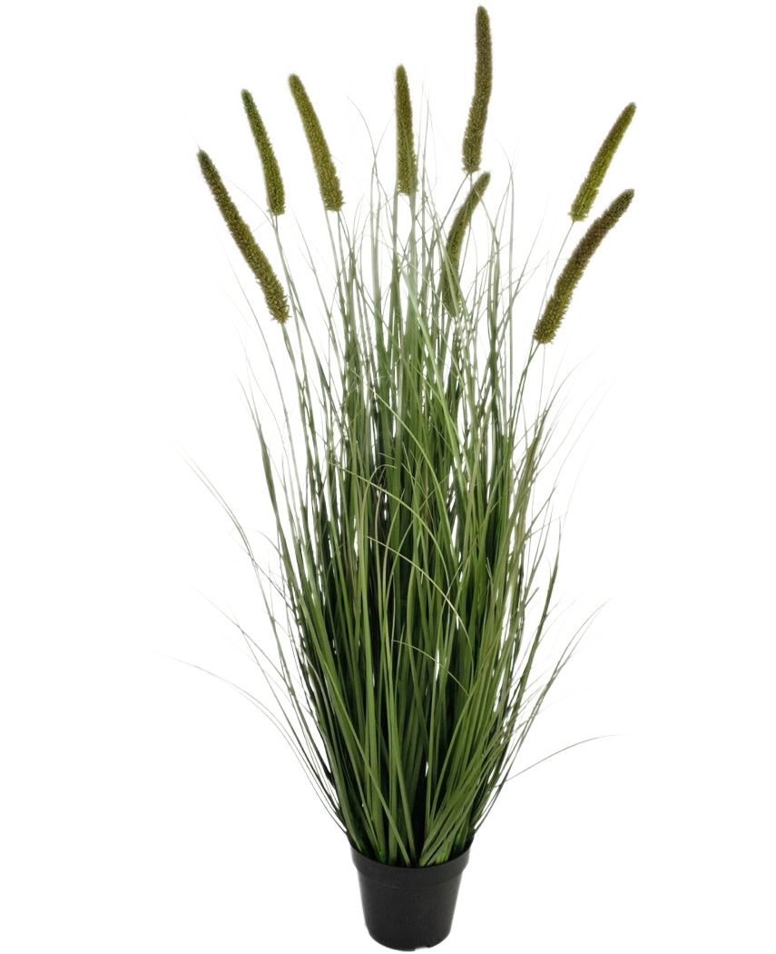 Der feuerhemmende Kunstrasen-Rohrkolben-Zwiebelgras-Topf 120 cm ist ein Ziergras in einem Topf mit langen, dünnen grünen Halmen und mehreren hohen, aufrechten Samenköpfen vor einem schlichten weißen Hintergrund.
