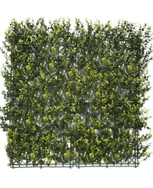 Die künstliche Hecke Buchsbaumgelb 50 x 50 cm UV ist eine quadratische Platte aus dichtem, künstlichem grünem Blattwerk mit gelben Blättern, die einer Hecke oder Gartenmauer vor einem schlichten weißen Hintergrund ähneln soll.