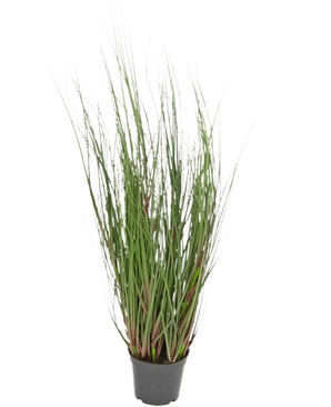Die feuerhemmende Kunstrasenpflanze Zwiebel 60 cm ist ein Ziergras in einem Topf mit langen, dünnen grünen Halmen und einigen rötlichen Stielen vor einem schlichten weißen Hintergrund.