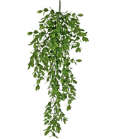 Die künstliche Hängepflanze Jasmin 70 cm hat dichte Büschel kleiner grüner Blätter, die auf natürliche Weise herunterfallen und einen üppigen, drapierten Effekt vor einem weißen Hintergrund erzeugen.