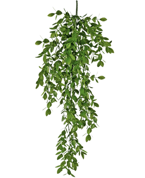 Die künstliche Hängepflanze Jasmin 70 cm hat dichte Büschel kleiner grüner Blätter, die auf natürliche Weise herunterfallen und einen üppigen, drapierten Effekt vor einem weißen Hintergrund erzeugen.