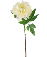 Die künstliche Pfingstrose 61 cm weiß ist eine künstliche weiße Pfingstrose mit geschichteten Blütenblättern und grünen Blättern auf einem langen braunen Stiel, dargestellt vor einem schlichten weißen Hintergrund.