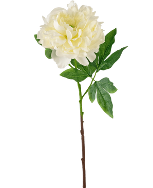 Die künstliche Pfingstrose 61 cm weiß ist eine künstliche weiße Pfingstrose mit geschichteten Blütenblättern und grünen Blättern auf einem langen braunen Stiel, dargestellt vor einem schlichten weißen Hintergrund.
