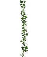 Die künstliche Hängepflanze Ivy Boston Garland 180 cm grün hat eine lange grüne Efeuranke mit mehreren Blättern, die vertikal vor einem schlichten weißen Hintergrund hängt.