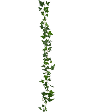Die künstliche Hängepflanze Ivy Boston Garland 180 cm grün hat eine lange grüne Efeuranke mit mehreren Blättern, die vertikal vor einem schlichten weißen Hintergrund hängt.