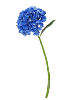 Die künstliche Blume Charlotte Hydrangea Real Touch dunkelblau ist eine einzelne blaue künstliche Hortensie mit grünem Stiel und Blättern, 55 cm hoch, isoliert auf weißem Hintergrund.