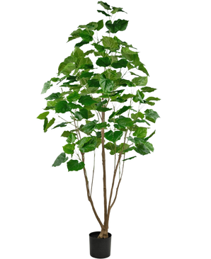 Die Kunstpflanze Ficus 210 cm ist eine hohe Zimmerpflanze in einem Topf mit mehreren schlanken braunen Stielen und üppigen großen grünen Blättern vor einem schlichten weißen Hintergrund.