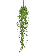 Die künstliche Hängepflanze Pumila 100 cm hat eine lange, gewundene Ranke mit kleinen, runden grünen Blättern, die an einem einzigen Stiel hängen, vor einem schlichten weißen Hintergrund.