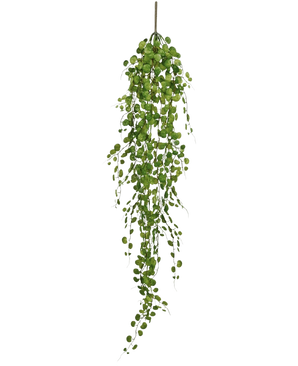 Die künstliche Hängepflanze Pumila 100 cm hat eine lange, gewundene Ranke mit kleinen, runden grünen Blättern, die an einem einzigen Stiel hängen, vor einem schlichten weißen Hintergrund.
