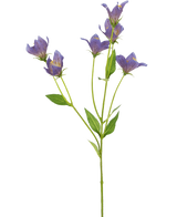 Die künstliche Glockenblume 62 cm lila hat einen einzelnen grünen Stiel mit mehreren Zweigen, die jeweils mit zarten lila Blüten und grünen Blättern verziert sind, vor einem schlichten weißen Hintergrund.