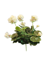 Die künstliche Geranie 40 cm weiß hat lebensechte weiße Blüten und üppig grüne Blätter – perfekt, um Ihrer Kunstpflanzen- oder Kunstblumensammlung zeitlose Eleganz zu verleihen.