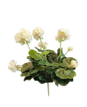 Die künstliche Geranie 40 cm weiß hat lebensechte weiße Blüten und üppig grüne Blätter – perfekt, um Ihrer Kunstpflanzen- oder Kunstblumensammlung zeitlose Eleganz zu verleihen.