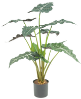 Die Kunstpflanze Alocasia UV 67 cm ist eine künstliche Topfpflanze mit großen, dunkelgrünen, pfeilförmigen Blättern und auffälligen weißen Adern, dargestellt vor einem schlichten weißen Hintergrund.