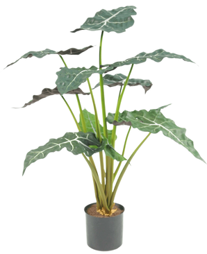 Die Kunstpflanze Alocasia UV 67 cm ist eine künstliche Topfpflanze mit großen, dunkelgrünen, pfeilförmigen Blättern und auffälligen weißen Adern, dargestellt vor einem schlichten weißen Hintergrund.