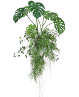 Die künstliche Hängepflanze Monstera/Farnball 100 cm XL besteht aus üppig grünen Monstera-Blättern und Farnen mit langen, nachhängenden Ranken und Wurzeln, perfekt, um jedem Raum vor einem weißen Hintergrund mehr Grün zu verleihen.