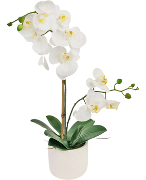Die künstliche Orchidee Real Touch 60 cm weiß hat zarte weiße Blüten, grüne Knospen und breite grüne Blätter, getragen von einem dünnen Stab in einem kleinen weißen Topf.