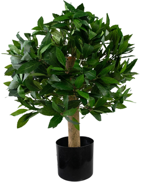 Die künstliche Lorbeer-UV-Pflanze d40 cm ist ein kleiner künstlicher Baum mit dichten grünen Blättern in einem schwarzen Topf, dargestellt vor einem schlichten weißen Hintergrund.