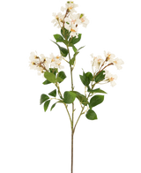 Die künstliche Blume Lagerstroemia 92 cm weiß hat einen hohen Stiel mit Büscheln kleiner weißer Blüten und grüner Blätter, perfekt, um jedem Raum dauerhafte Schönheit zu verleihen. Ideal als auffällige Kunstpflanze vor einem schlichten weißen Hintergrund.