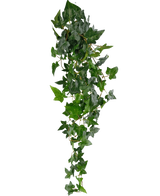 Die künstliche Hängepflanze Ivy Boston 100 cm grün hat üppig grüne, spitze Blätter an langen, dünnen Stielen, die einen realistischen Efeu-Effekt vor einem schlichten weißen Hintergrund erzeugen.