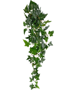Die künstliche Hängepflanze Ivy Boston 100 cm grün hat üppig grüne, spitze Blätter an langen, dünnen Stielen, die einen realistischen Efeu-Effekt vor einem schlichten weißen Hintergrund erzeugen.