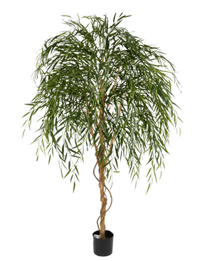 Der künstliche Weidenbaum 210 cm ist ein hoher Kunstbaum mit schlanken, hängenden grünen Blättern und einem gedrehten braunen Stamm vor einem schlichten weißen Hintergrund.