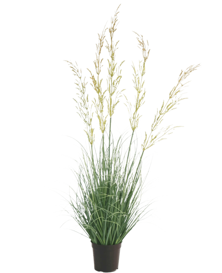 Die feuerhemmende Kunstrasenpflanze Weizen 90 cm hebt sich mit ihren schlanken grünen Blättern und den langen gelblichen Blütenrispen wunderschön von einem weißen Hintergrund ab – ideal unter den Kunstpflanzen für Haus und Garten.