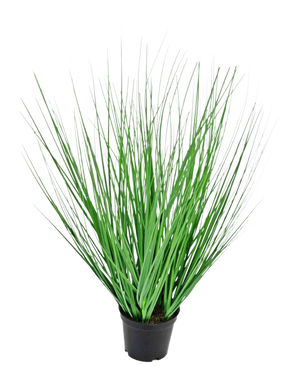 Die feuerhemmende Kunstrasenpflanze Zwiebel 50 cm hat lange, dünne, grüne, grasähnliche Blätter, die sich von der Mitte nach außen erstrecken und in einem Topf vor einem schlichten weißen Hintergrund präsentiert werden.