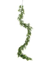 Die künstliche Rankenpflanze Pumila 182 cm hat eine lange, gewundene grüne Ranke mit kleinen Blättern, die vertikal vor einem schlichten weißen Hintergrund hängt.