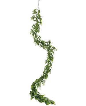 Die künstliche Rankenpflanze Pumila 182 cm hat eine lange, gewundene grüne Ranke mit kleinen Blättern, die vertikal vor einem schlichten weißen Hintergrund hängt.