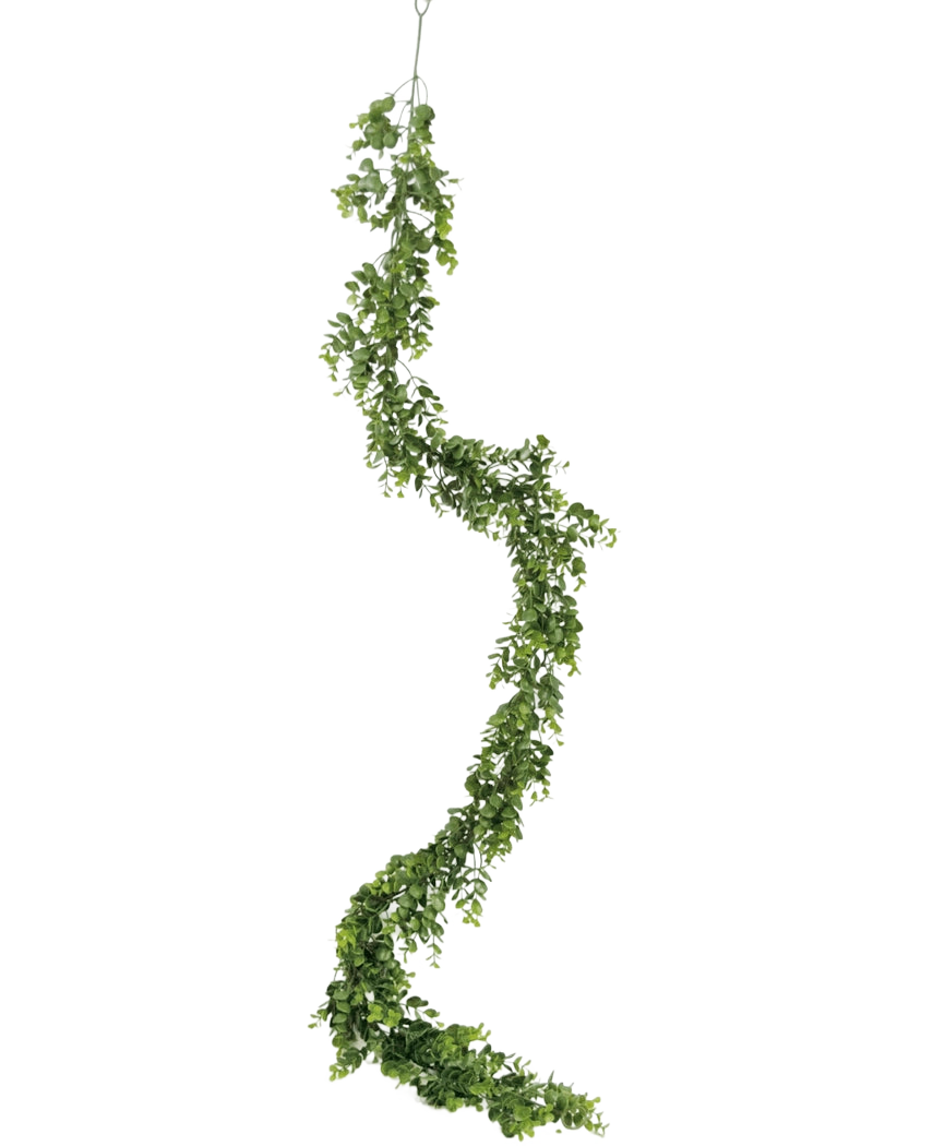 Die künstliche Schlingpflanze Pumila 182 cm hat eine lange, gewundene grüne Ranke mit kleinen Blättern, die vertikal vor einem schlichten weißen Hintergrund hängt.