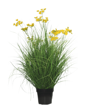 Die feuerhemmende Kunstrasenpflanze Asteraceae 90 cm hat lange, schlanke, grasartige Blätter und Büschel kleiner, leuchtend gelber Blüten an langen Stielen vor einem schlichten weißen Hintergrund.