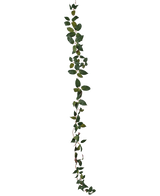 Die Art Tradescantia Garland Green 180 cm ist eine einzelne grüne Blattranke, die vertikal vor einem schlichten weißen Hintergrund abgebildet ist.