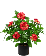 Künstliche Pflanze Gardenia 39 cm fuchsia