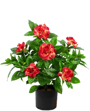 Künstliche Pflanze Gardenia 39 cm fuchsia