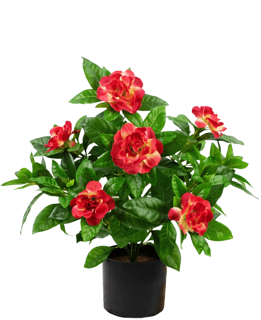 Künstliche Pflanze Gardenia 39 cm fuchsia
