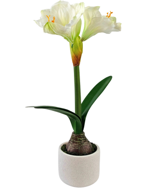 De Kunstbloem Amaryllis Real Touch wit 48 cm heeft een levensechte witte amaryllisbloem met groene bladeren en zichtbare bol in een kleine witte pot, perfect om elegantie toe te voegen aan elke ruimte.
