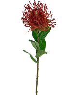 Die künstliche Blumen-Protea 73 cm rot besteht aus einem einzelnen roten Nadelkissen-Protea mit stacheligen Blütenblättern und grünen Blättern auf einem langen, dünnen Stiel vor einem weißen Hintergrund.
