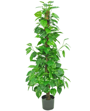 Die Kunstpflanze Pothos 150 cm ist eine hohe Kunstpflanze mit glänzend grünen Blättern auf einem zentralen braunen Stiel, in einem kleinen schwarzen Topf vor einem schlichten weißen Hintergrund.