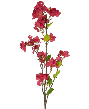 Die künstliche Blume Bougainvillea 120 cm Burgunderrot hat einen einzelnen Stiel mit mehreren tief burgunderroten Kunstblumen und grünen Blättern auf schlanken braunen Zweigen vor einem schlichten weißen Hintergrund.