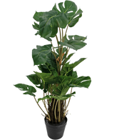 Die Kunstpflanze Monstera 90 cm ist eine Kunstpflanze mit großen, glänzend grünen Blättern mit natürlichen Rissen, aufrecht in einem schwarzen Topf vor einem schlichten weißen Hintergrund.