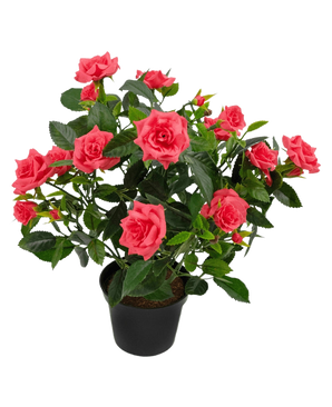Die Kunstpflanze Mini Rose UV 35 cm hat einen schwarzen Topf, der mit einer üppigen künstlichen Rosenpflanze mit mehreren blühenden rosa Rosen und grünen Blättern vor einem weißen Hintergrund gefüllt ist.