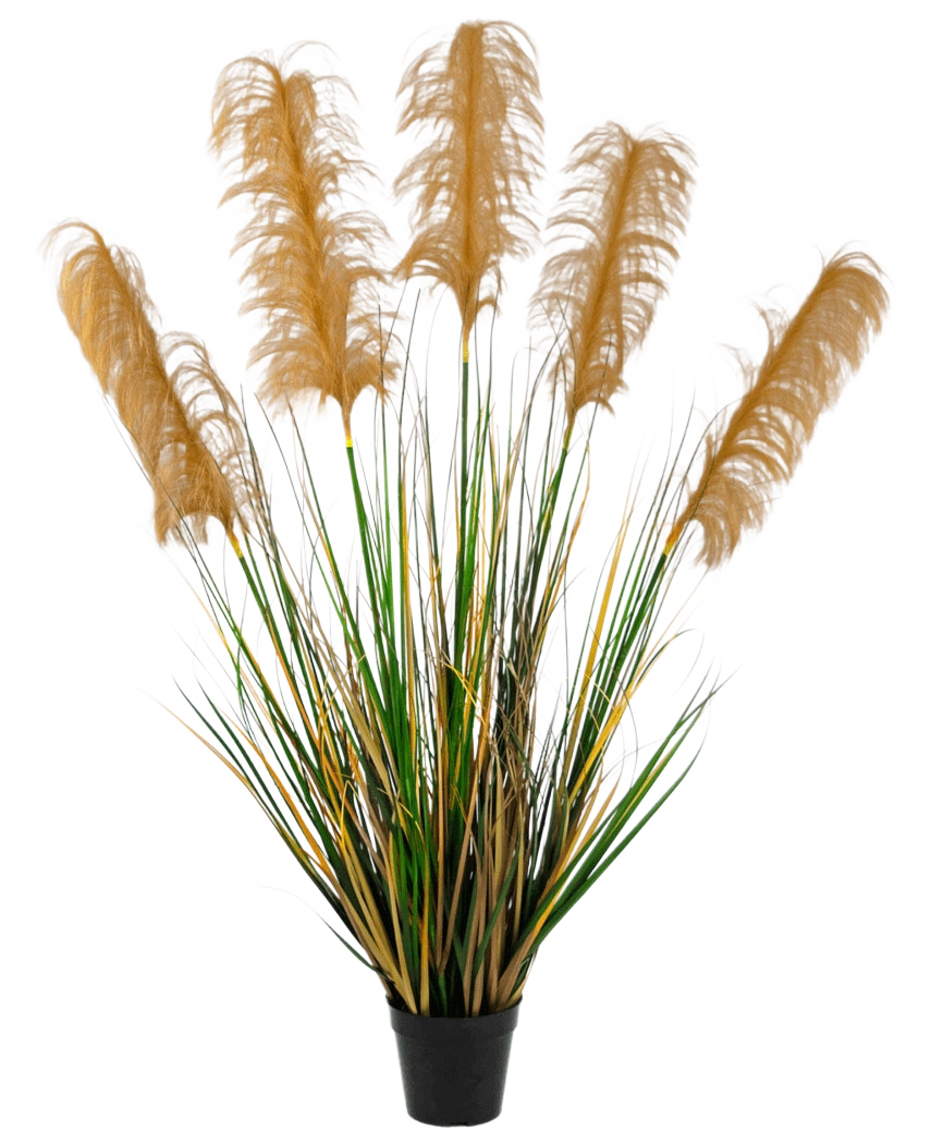 Das feuerhemmende künstliche Pampasgras 120 cm hat hohe grüne und gelbe grasähnliche Blätter mit flauschigen braunen Federn. Diese elegante, feuerhemmende Kunstpflanze verleiht jeder Sammlung künstlicher Pflanzen vor einem weißen Hintergrund Eleganz.