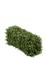 Die künstliche Buchsbaumhecke UV 70x20x25 cm ist ein dichter, rechteckiger künstlicher Buchsbaumstrauch mit kleinen grünen Blättern vor einem schlichten weißen Hintergrund.