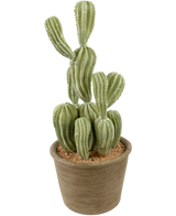 Der künstliche Kaktus Cereus 35 cm hat grüne, gerippte aufrechte Stängel in einem Topf mit brauner Struktur und hellbrauner Erde, vor einem schlichten weißen Hintergrund.