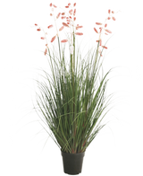 Die feuerhemmende Kunstrasenpflanze Centipede Grass 120 cm hat lange grüne Halme und lange, schlanke Stängel mit rosafarbenen Federn, die vor einem weißen Hintergrund präsentiert werden.