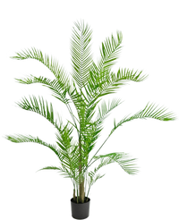 Künstliche Pflanze Chamaedorea 150 cm