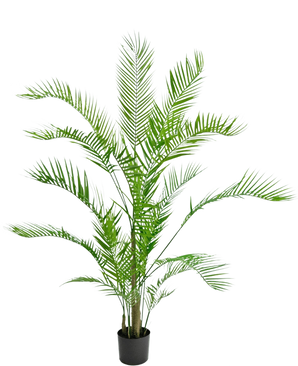 Die Kunstpflanze Chamaedorea 150 cm ist eine hohe Palme in einem Topf mit langen, gewölbten grünen Blättern und schlanken Stielen vor einem schlichten weißen Hintergrund.
