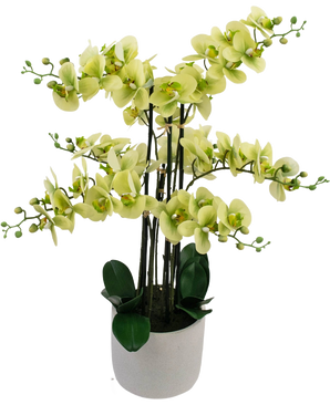 Die künstliche Orchidee Real Touch 81 cm grün hat hellgrüne Orchideenblüten mit dunkelgrünen Blättern in einem hellgrauen Topf vor einem weißen Hintergrund.