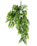 Die künstliche Hängepflanze Pumila 86 cm ist ein realistischer künstlicher Zweig mit mehreren Stielen aus kleinen, hellgrünen ovalen Blättern, die üppig und kaskadierend auf einem schlichten weißen Hintergrund erscheinen.