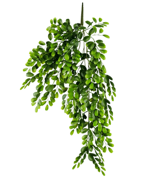 Die künstliche Hängepflanze Pumila 86 cm ist ein realistischer künstlicher Zweig mit mehreren Stielen aus kleinen, hellgrünen ovalen Blättern, die üppig und kaskadierend auf einem schlichten weißen Hintergrund erscheinen.